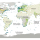 Illustration for article titled Half of Our Planet's Wildlife Is Gone. Here's Why.
